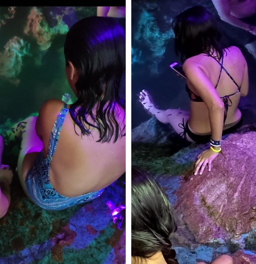 Azcapri Villa Boutique & Spa カンクン エクステリア 写真